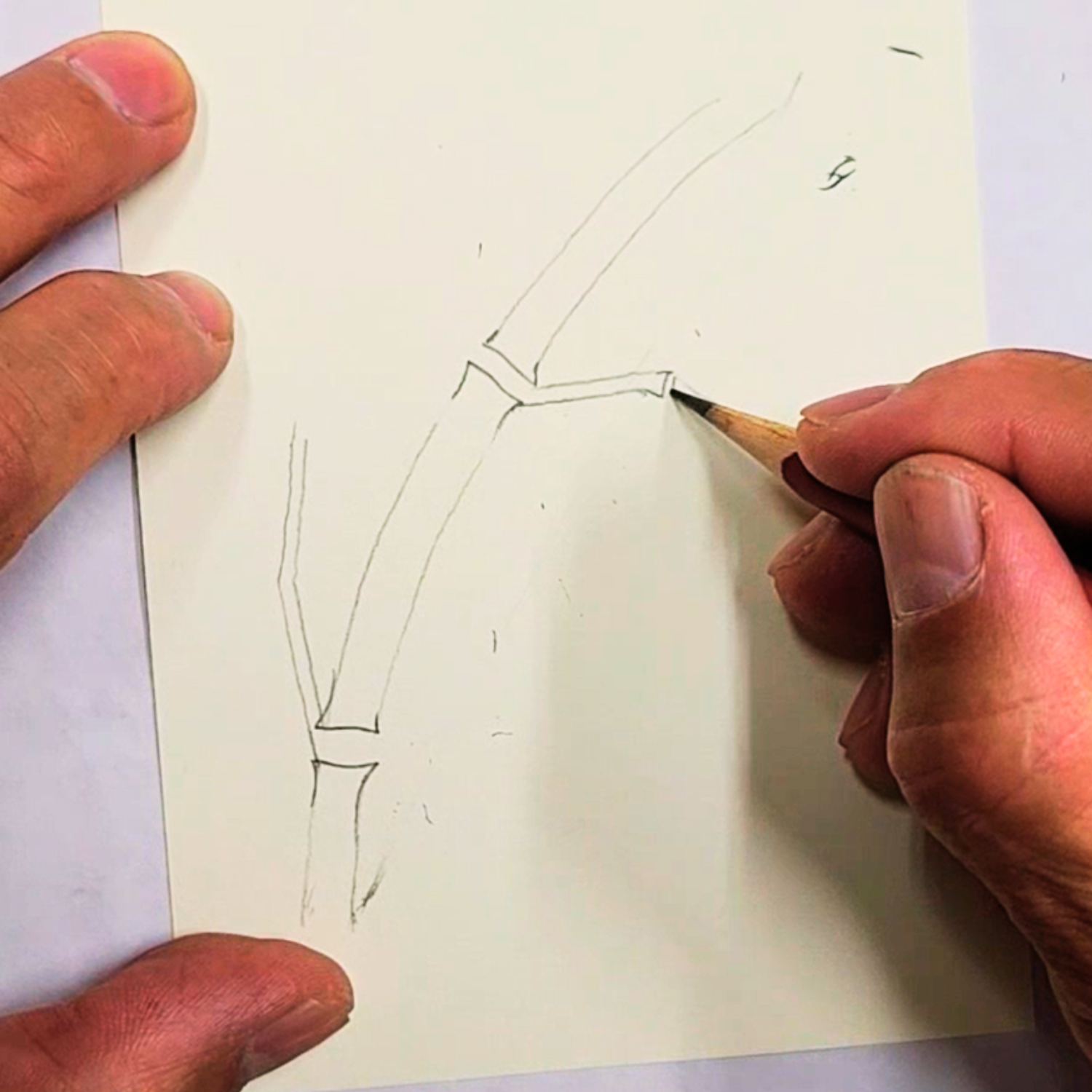 Ballpoint Pen Drawing: The Beauty of Bamboo Part 1